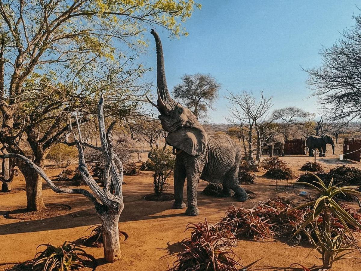 Tshukudu Game Lodge هويدزبروت المظهر الخارجي الصورة