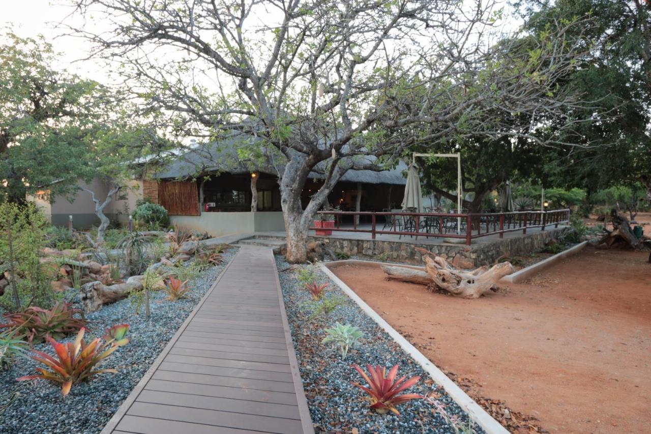 Tshukudu Game Lodge هويدزبروت المظهر الخارجي الصورة